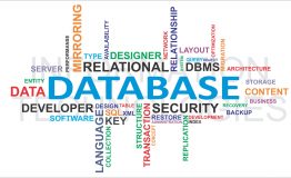 ویژگی‌های سیستم مدیریت پایگاه داده‌ها