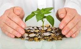 دلایل شکست کسب‌ و کارهای نوپا چیست؟ نقاط عطف برای افزایش پول