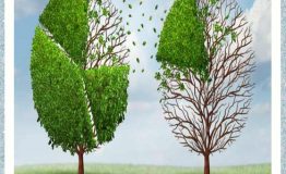 افزایش سهم بازار با چند استراتژی هوشمندانه(۳. تقلیل سهم بازار)