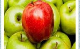 شاد بودن در محیط کار با ۳۳ نکته‌ ی انگیزه‌بخش (۷. قدم بزنید)