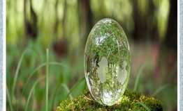 مدیریت منابع انسانی سبز ( نتیجه گیری)