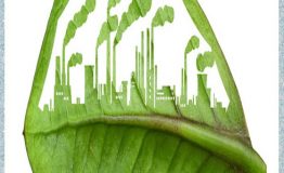 مدیریت سبز به عنوان یک رویکرد مدرن زیست محیطی در سازمان ها