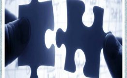 انواع پلتفرم‌ها