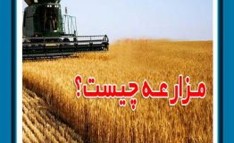 عقد مزارعه چیست؟