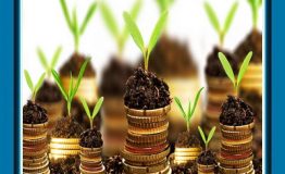 عقد مزارعه در سیستم بانکی و بانکداری