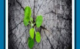 چشم‌انداز مشخص