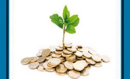 ارزش شما را بازار مشخص می‌کند