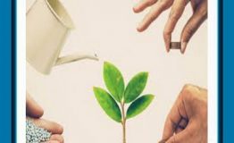 ویژگی‌های کارآفرینی ( کارآفرینان باید از خودشان شکیبایی به خرج دهند )