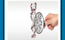 پژوهشکده‌های دانشگاهی