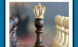 ۴. ناتوانی در برابر رقیبان – ۵. نداشتن تجربه‌ی کافی در قیمت‌گذاری- ۶. محصول بی‌کیفیت