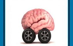 مداومت بر یک فرض غلط